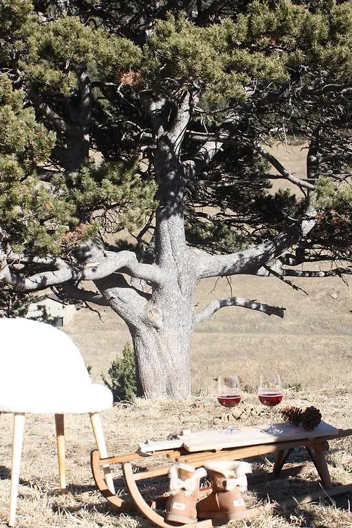 Chalet Borda Del Pi Bed & Breakfast Canillo